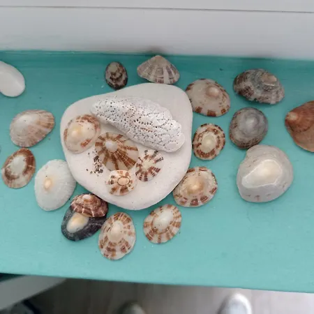 Apartment Juli Lozenets