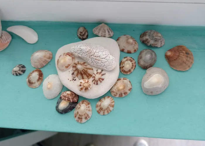 Apartment Juli Lozenets